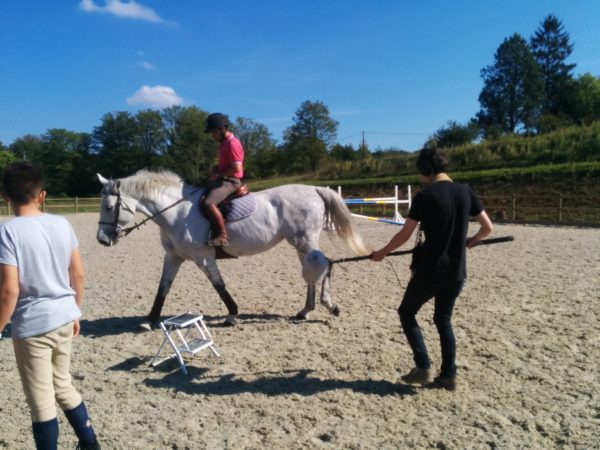G4F SFX06 Horses