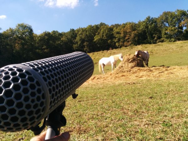 G4F SFX06 Horses